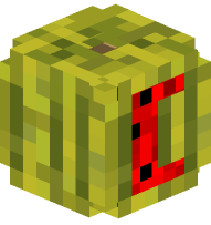 Watermelon Square Bracket (open)