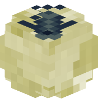 Limestone Fossil (Fish)