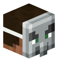 Man with Illager Mask