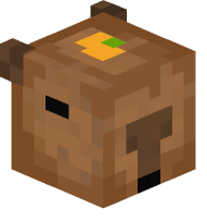 Capybara With Orange