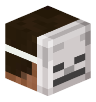 Man with Skeleton Mask