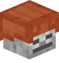 Skeleton with Leather Helmet (orange)