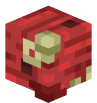 Wybomination (top left front)