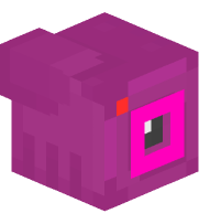 Camera (magenta)
