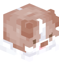 Border Collie (Light Brown)