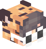 Boy with Tiger Costume