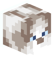 Collared Ragdoll Cat (white)