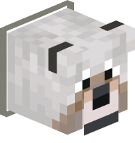 Light Gray Collared Dog