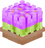 Potted Tulips (Magenta)