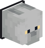 Collared British Shorthair Cat (black)