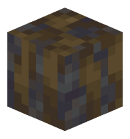 Muddy Mangrove Roots