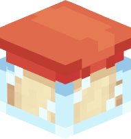 Spice Container (onion powder)