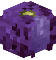 Devil Melon (Sliced)