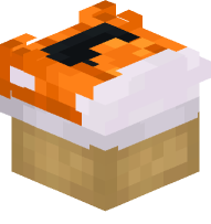 Converse Shoe (orange)