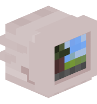 Minecraft Monitor