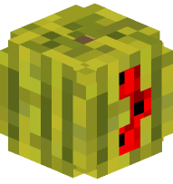 Watermelon Curly Bracket (closed)