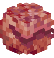 Fermented Spider Eye