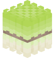 Bundle of Leeks