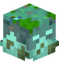 Open Spawn Egg (Drowned)