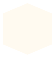 Floral white (#FFFAF0)