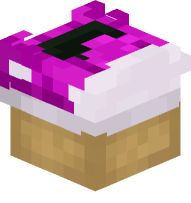 Converse Shoe (magenta)