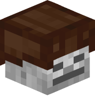 Skeleton with Leather Helmet (brown)