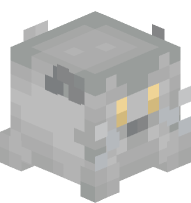 British Shorthair Cat