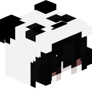 Boy In Panda Costume