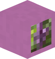 Picture in Frame (lilac)