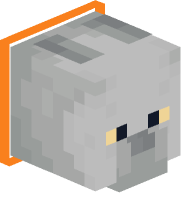 Collared British Shorthair Cat (orange)