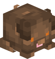 Labrador Retriever (Chocolate)