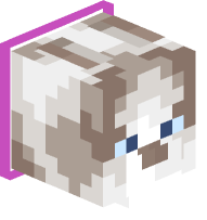 Collared Ragdoll Cat (magenta)