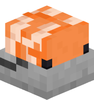 Clownfish in a Bucket