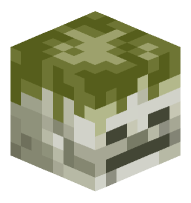 Mossy Skeleton