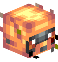 Shiny Zigzagoon (#263)