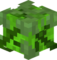 Asparagus Cube