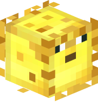 Golden Pufferfish