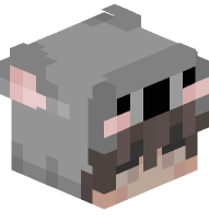 Boy with Koala Costume