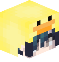 Boy with Duck Costume