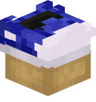 Converse Shoe (blue)