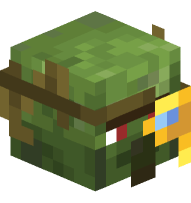 Cartographer Zombie Villager