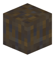 Muddy Mangrove Roots