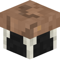 Brown Mushroom Stool