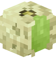 Honeydew Melon (Sliced)