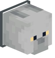 Collared British Shorthair Cat (gray)