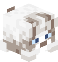 Cat Plushie (ragdoll)