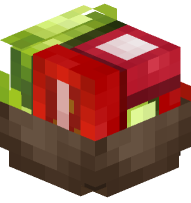 Salad (Radish + Tomato)