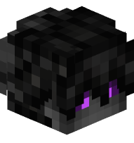 Ender Boy