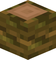 Jungle Log