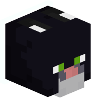 Collared Tuxedo Cat (white)